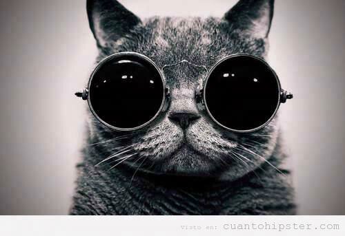 Nibia Reyes ♡ banner