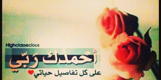 mohsalh_a's profile banner image
