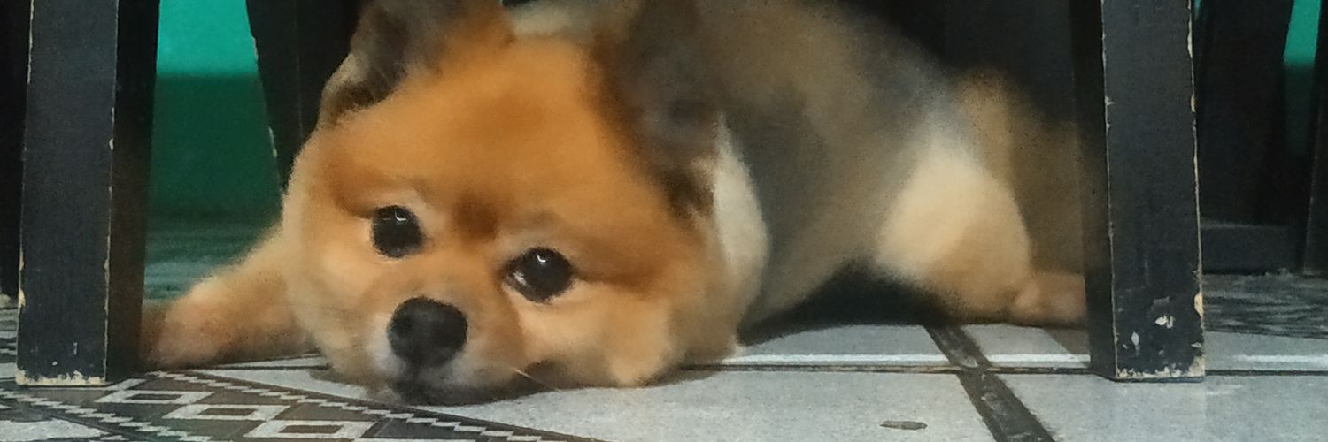 mvrp22's profile banner image