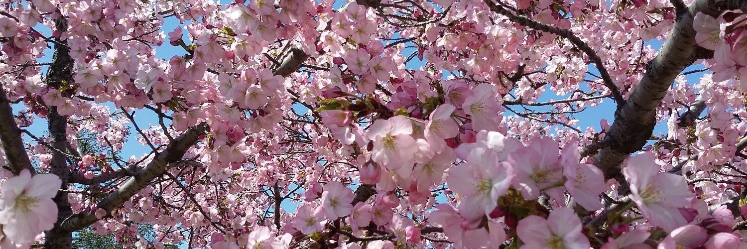 Meadowsfarms's profile banner image