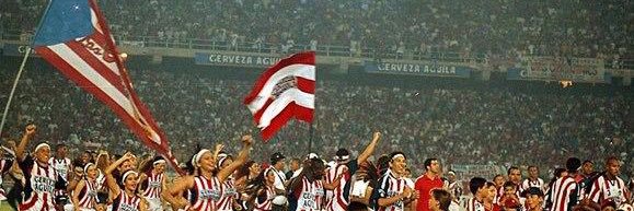 Alberto banner