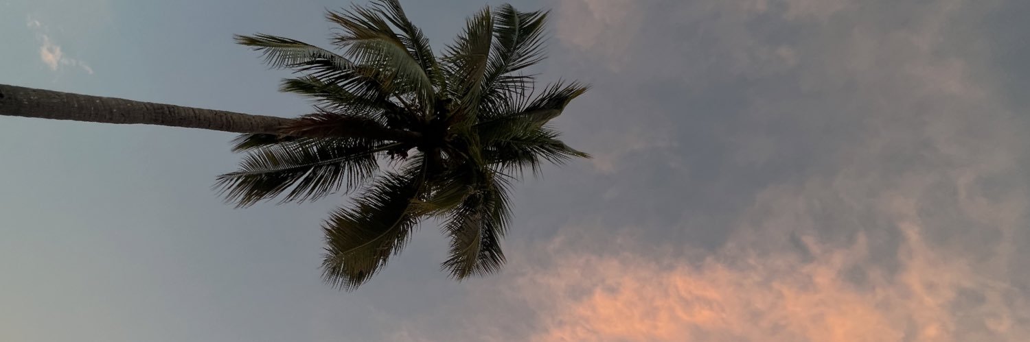 brooklyn_rayy's profile banner image