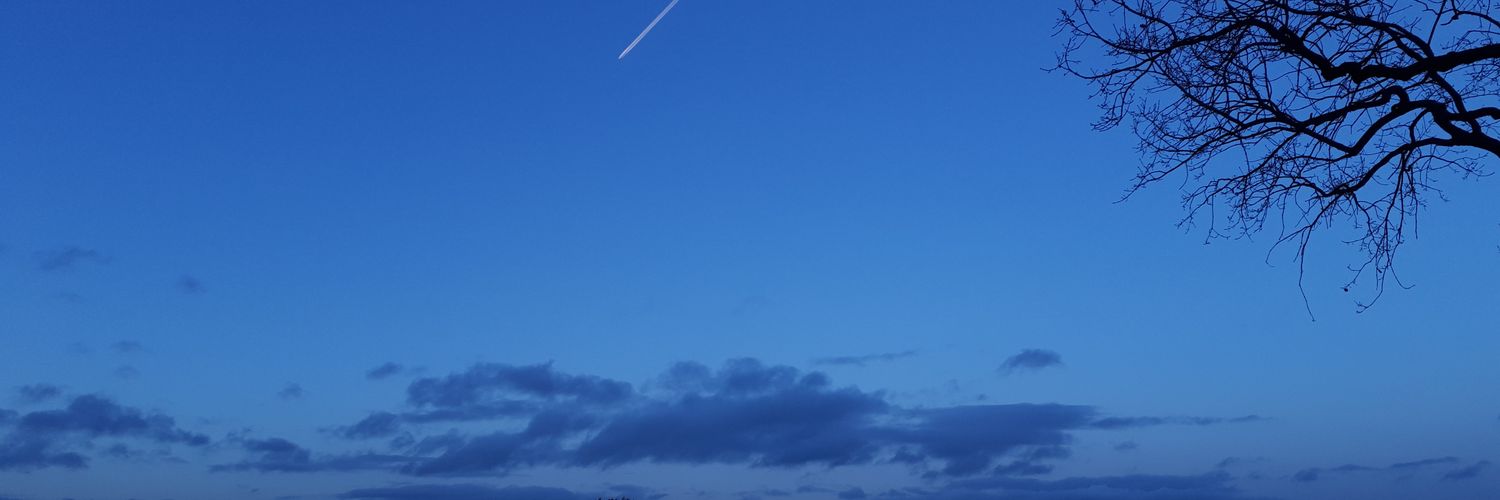 Everydayoliver's profile banner image