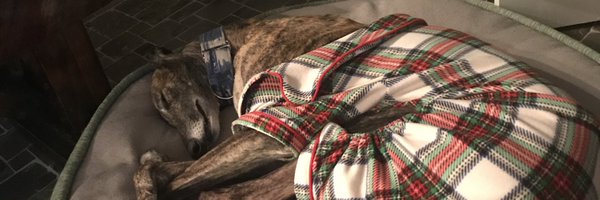 Mightyrigo Profile Banner