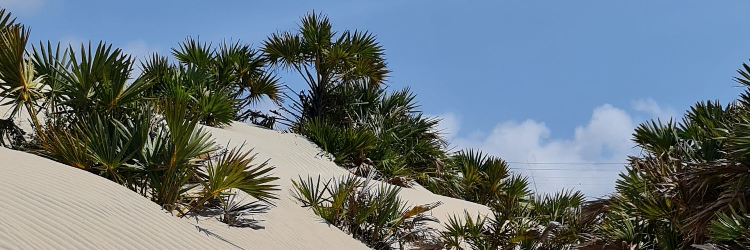 abmuiruri's profile banner image