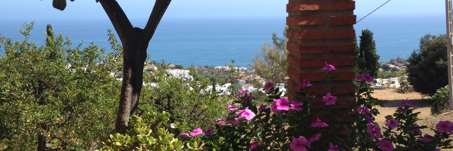 Sarah Fitzgerald banner