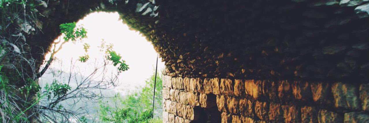 مغرد's banner
