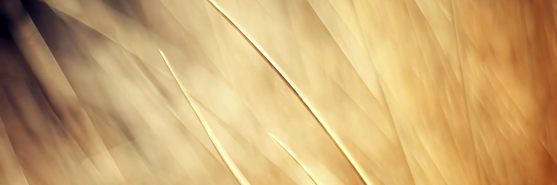 0x2001db8's profile banner image