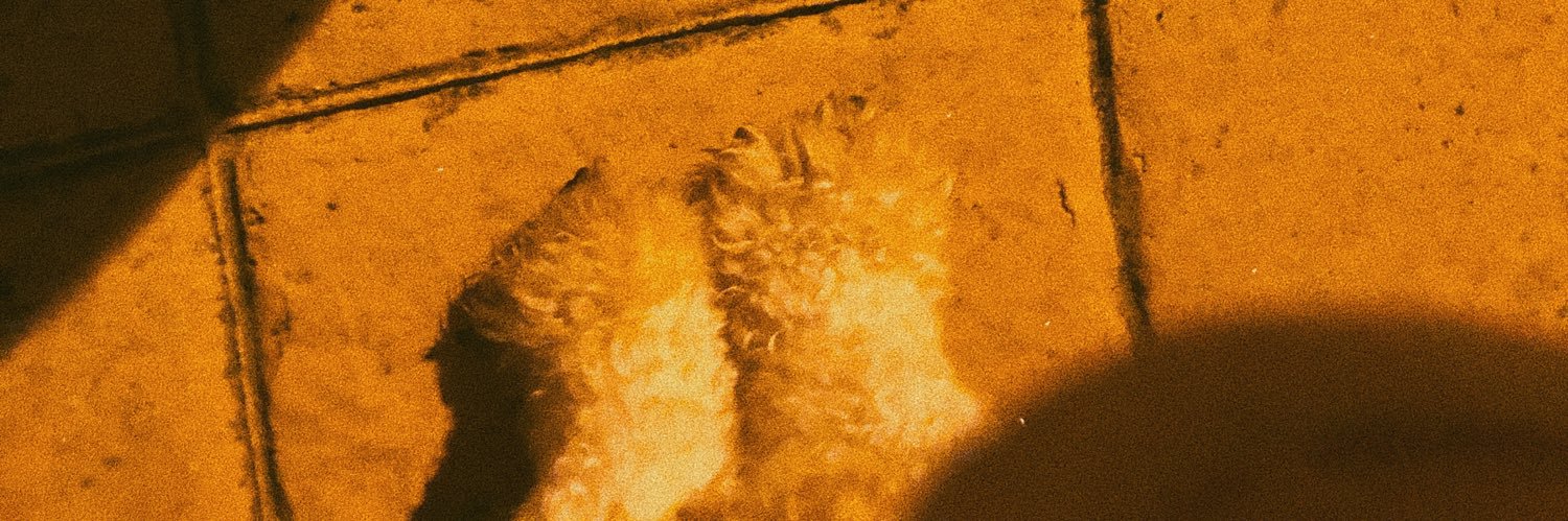 Estefiicabral's profile banner image