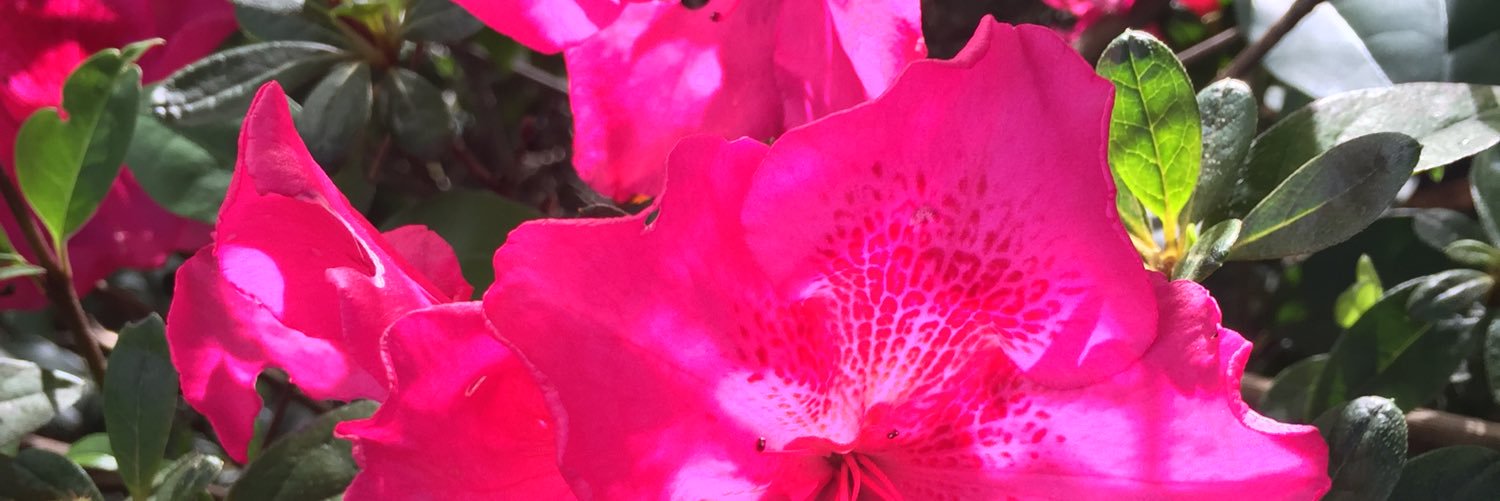jupton2123's profile banner image