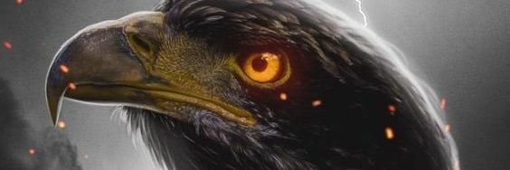 ozerela67's profile banner image