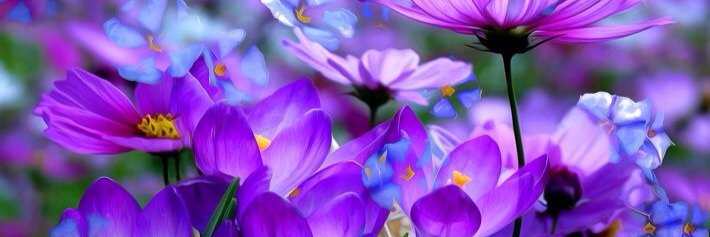 ऊल्लू💎 banner