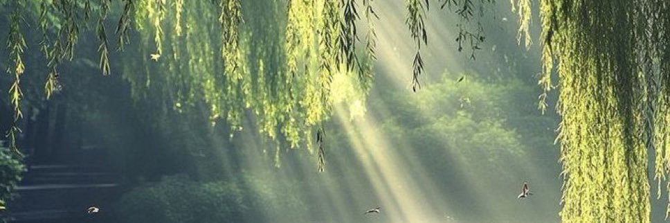 juman_u's profile banner image
