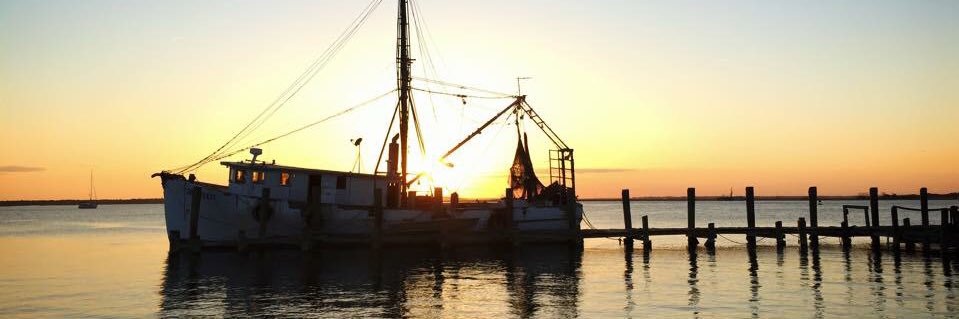 Amanda Burbank-Oates banner