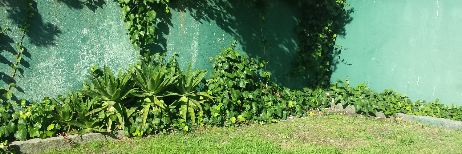 Mercedes Rodriguez banner