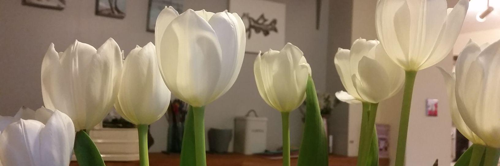 LeahJ92's profile banner image