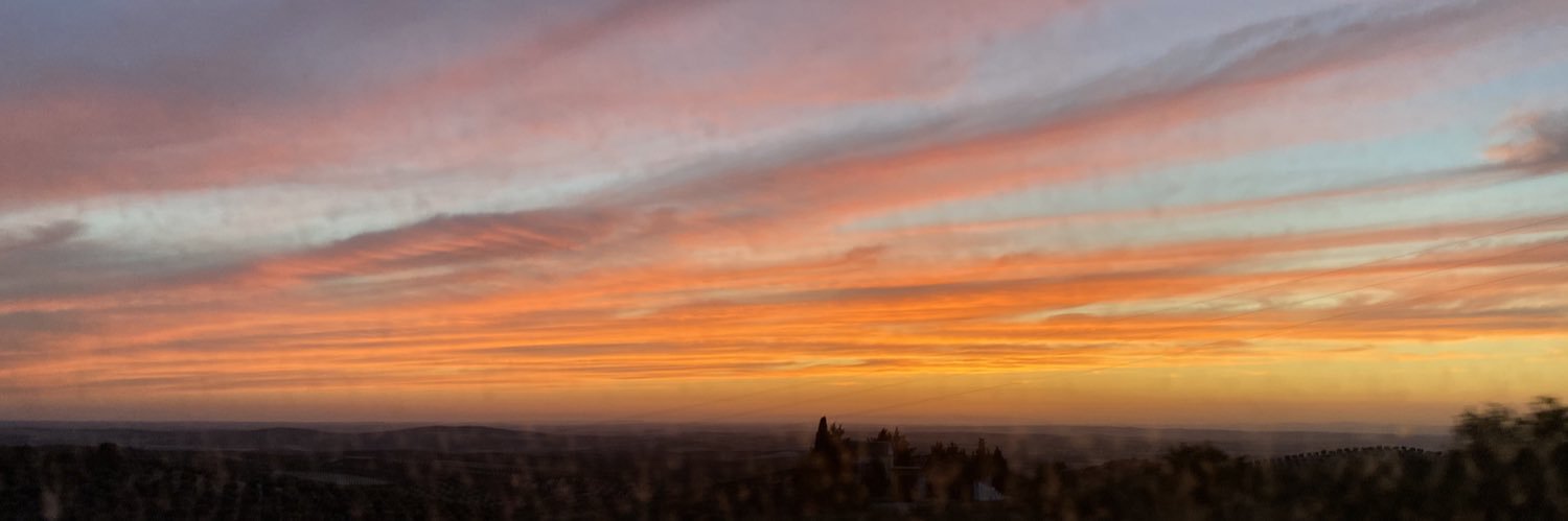 angelarojas98's profile banner image