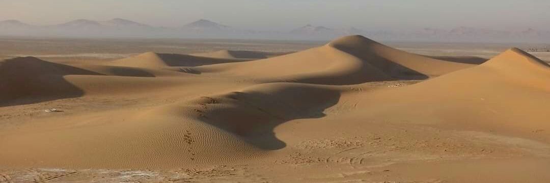 Áine O Connor banner