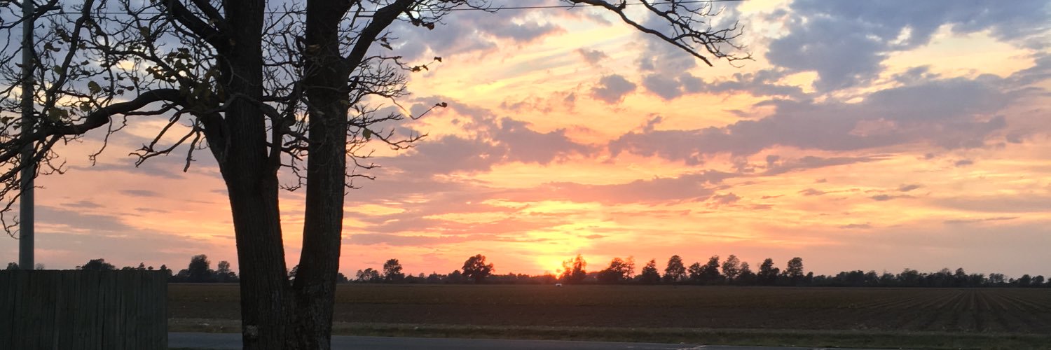 melissatfoster's profile banner image