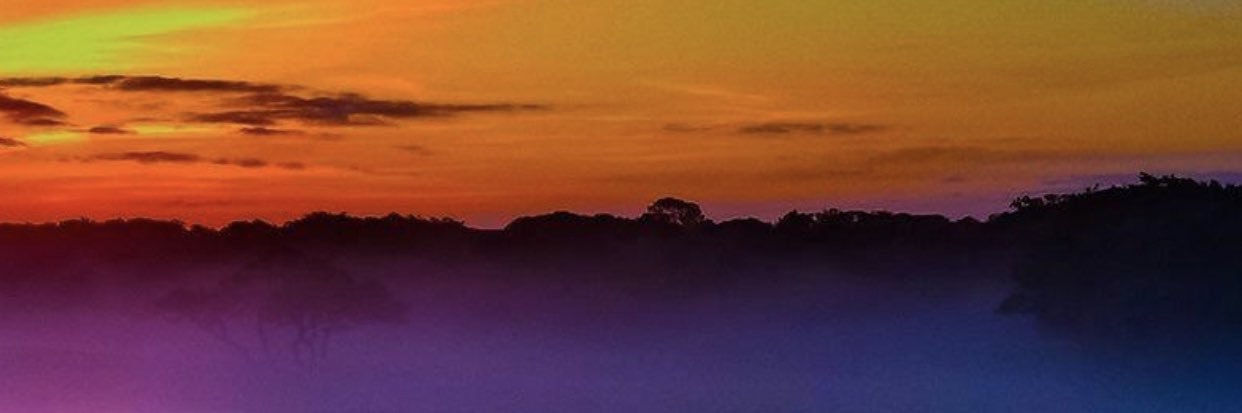 debusk_travis's profile banner image
