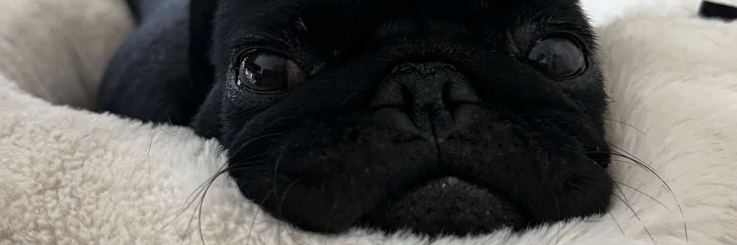 CltFlorine's profile banner image