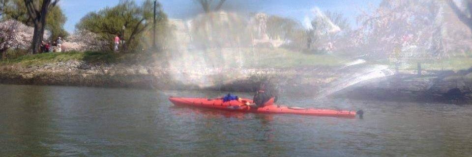 Hawk🧢🌺⬆️☂️ banner