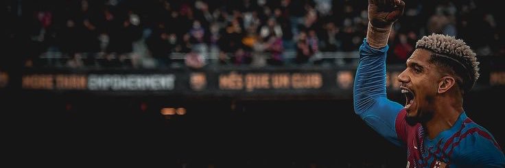 Vyper banner