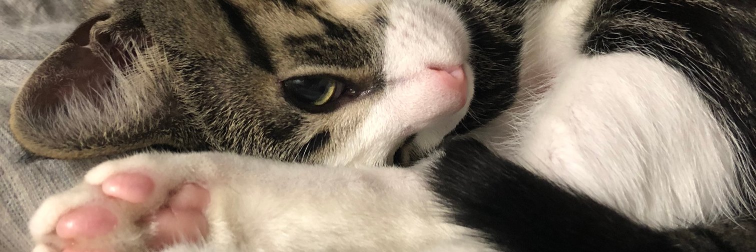 NotNatalieG's profile banner image