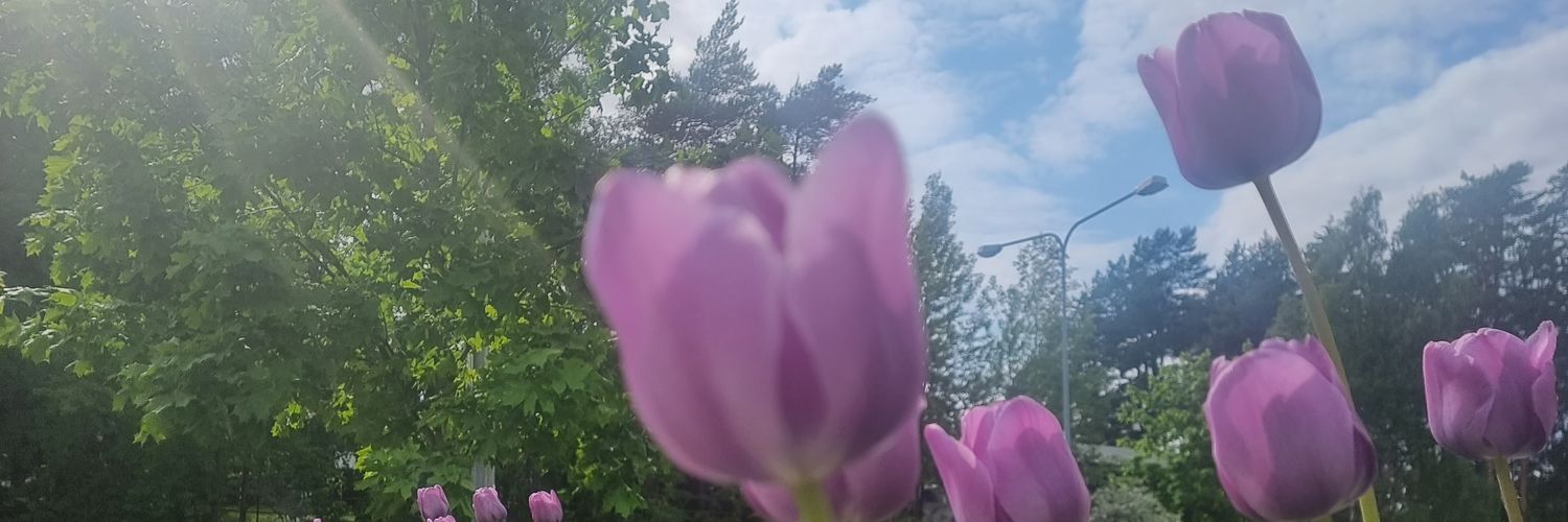 LaNegraTieneTumbao banner