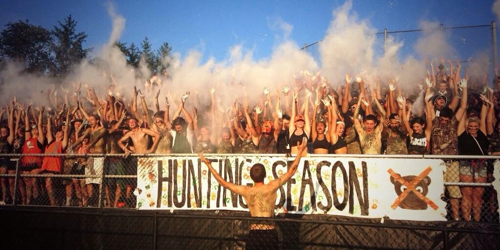 LNFanSection's profile banner image
