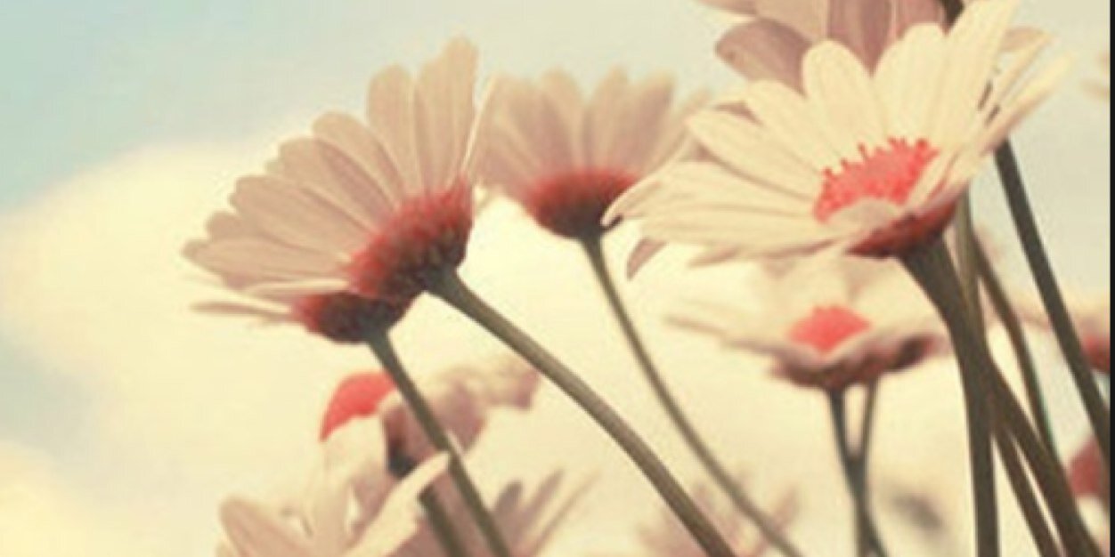 maljcor's profile banner image