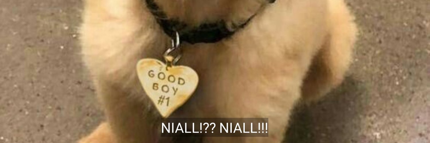 funnyhoran's profile banner image