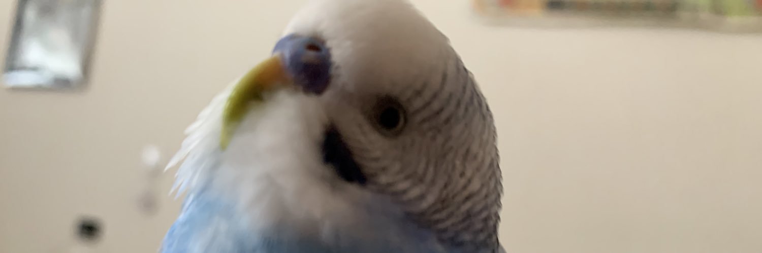 sspacchin2525's profile banner image