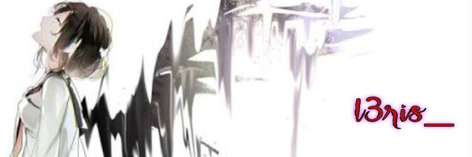 l3ris_'s profile banner image