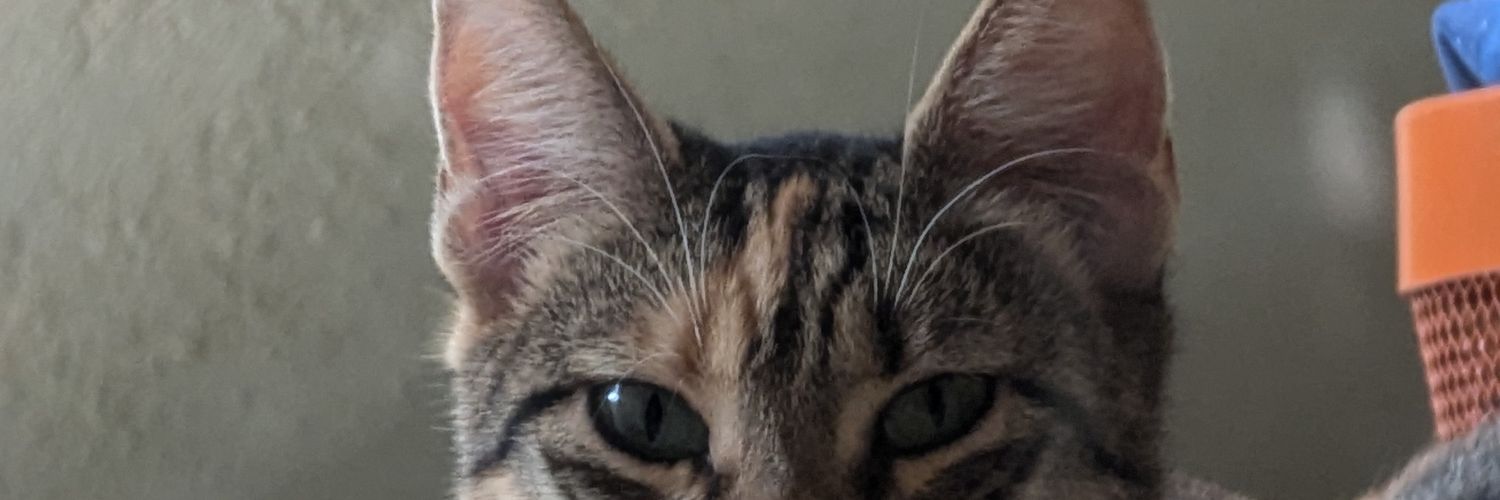 FrankiElena's profile banner image