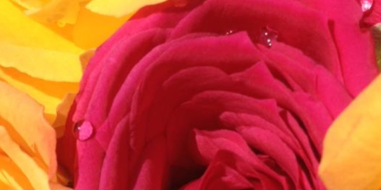 vanlynn75's profile banner image
