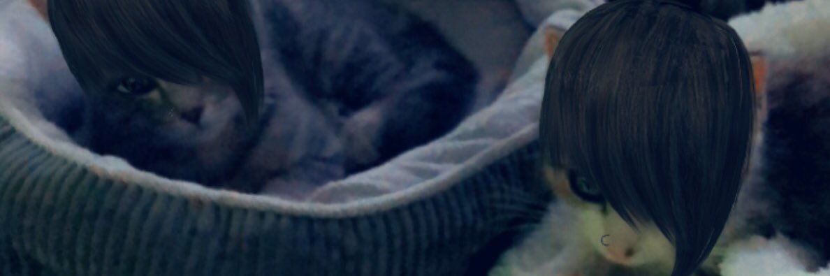 KGKyle3's profile banner image