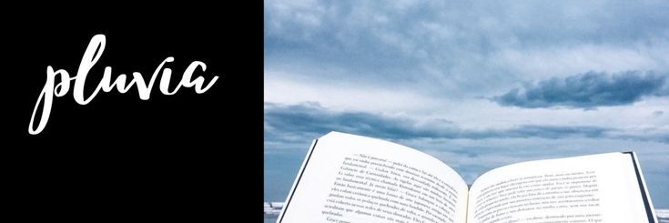 PluviaD's profile banner image