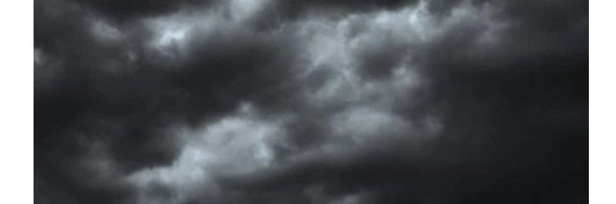 buscemi7's profile banner image