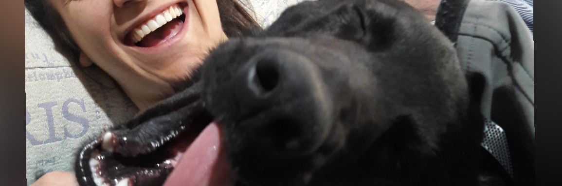 natiischulz's profile banner image