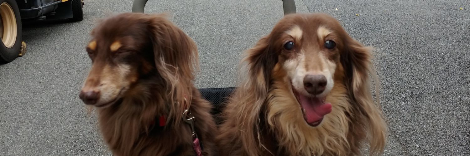 ティアラ&ティファニー banner