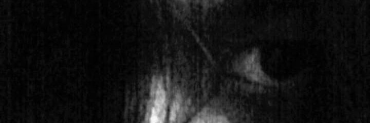 mono's banner