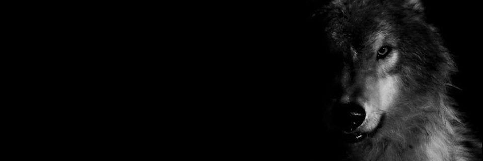 ZataOfficiel's profile banner image