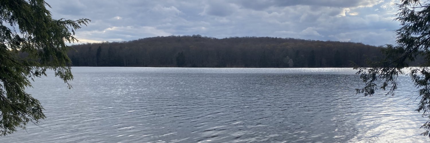 kari_strayer's profile banner image