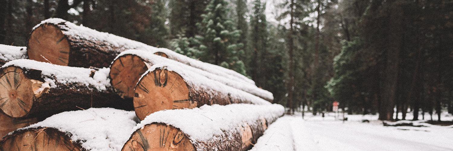 ericluis_'s profile banner image