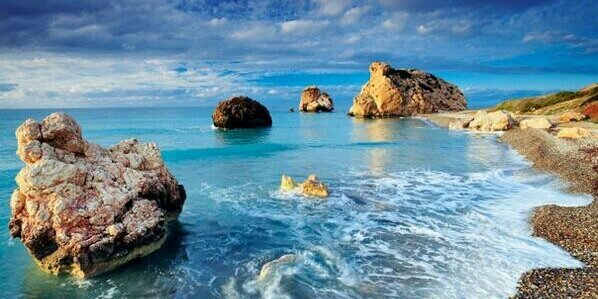 Naturaleza Viva banner