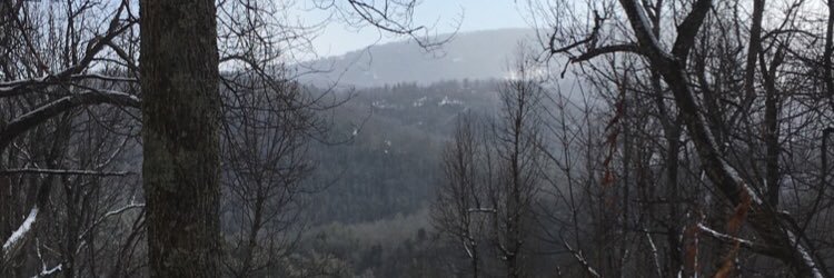 WelbornAmber's profile banner image