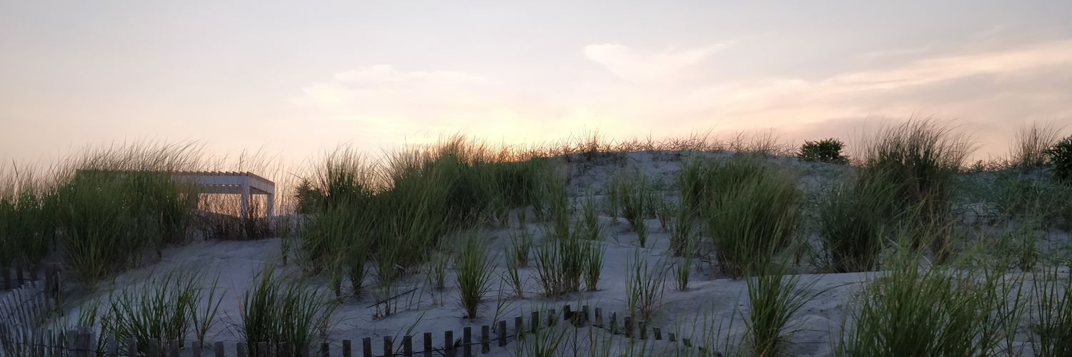 teachmerussian's profile banner image