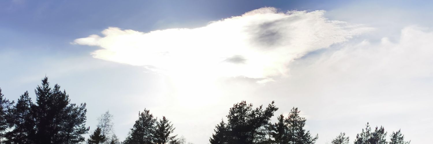 DarklingEdo's profile banner image