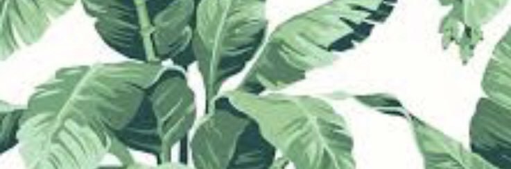 Lizzay_S's profile banner image